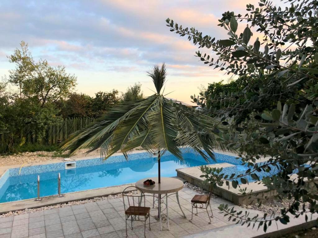 Villa Familia New Athos Dış mekan fotoğraf